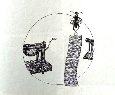Illustration for Archyology by Don Marquis
The Atlantic
October, 1986
p83
